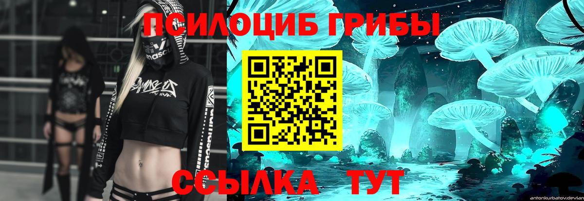 Псилоцибиновые грибы Magic Shrooms Светлоград