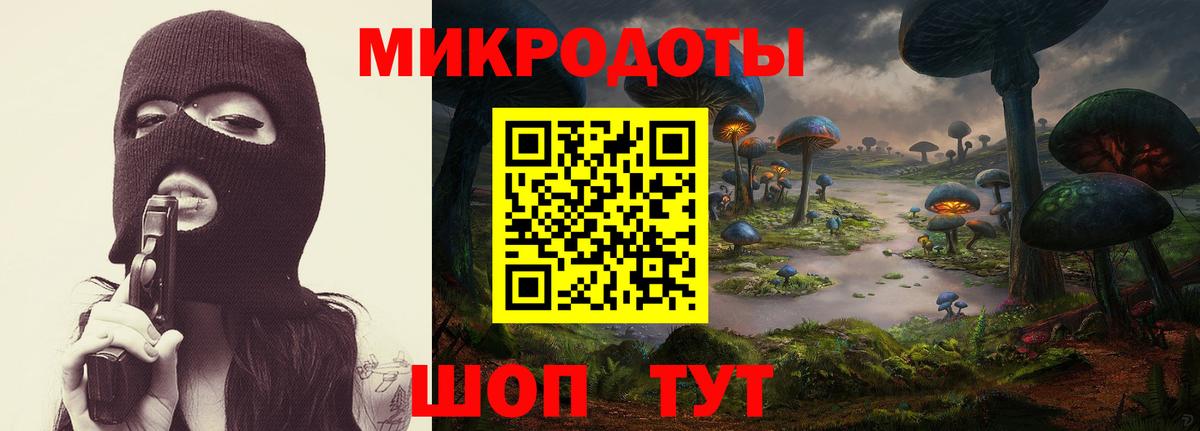 Галлюциногенные грибы Psilocybine cubensis  Вход с VPN  Светлоград 